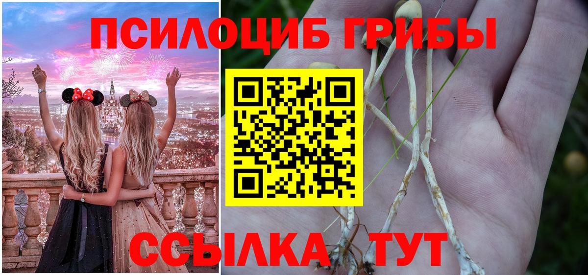 Армавир  Галлюциногенные грибы ЛСД  Вход с VPN 