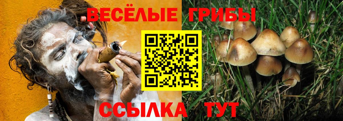 Галлюциногенные грибы MAGIC MUSHROOMS Армавир